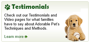 Dog training mississauga